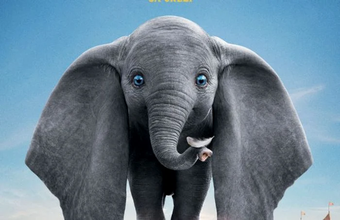 Dumbo