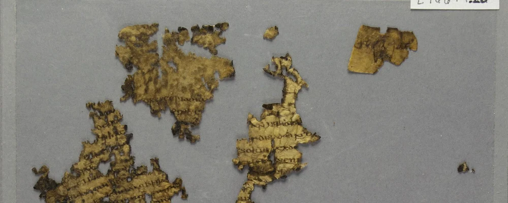 Matthijs Wibier, profesor asistent de Studii Clasice la Universitatea din Cincinnati, a reconstruit 50 de fragmente de piele de animal și a descoperit că acestea erau pagini față-verso ale unui text juridic roman datând din secolul al IV-lea