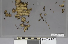 Matthijs Wibier, profesor asistent de Studii Clasice la Universitatea din Cincinnati, a reconstruit 50 de fragmente de piele de animal și a descoperit că acestea erau pagini față-verso ale unui text juridic roman datând din secolul al IV-lea