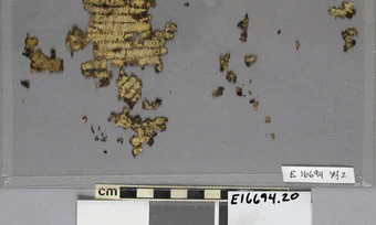 Matthijs Wibier, profesor asistent de Studii Clasice la Universitatea din Cincinnati, a reconstruit 50 de fragmente de piele de animal și a descoperit că acestea erau pagini față-verso ale unui text juridic roman datând din secolul al IV-lea