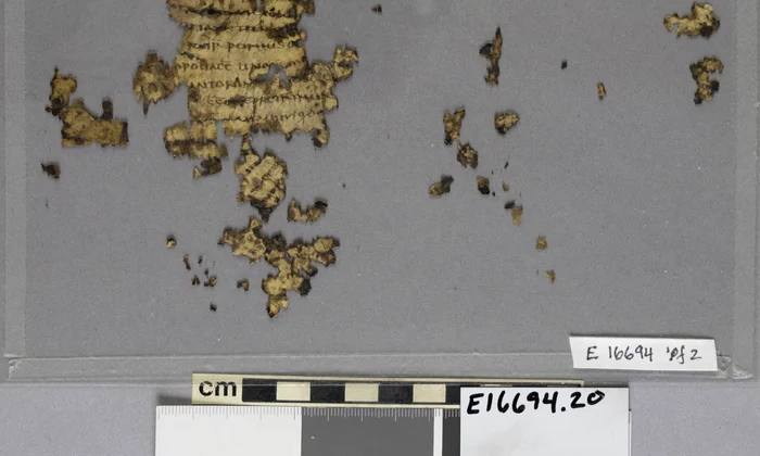 Matthijs Wibier, profesor asistent de Studii Clasice la Universitatea din Cincinnati, a reconstruit 50 de fragmente de piele de animal și a descoperit că acestea erau pagini față-verso ale unui text juridic roman datând din secolul al IV-lea