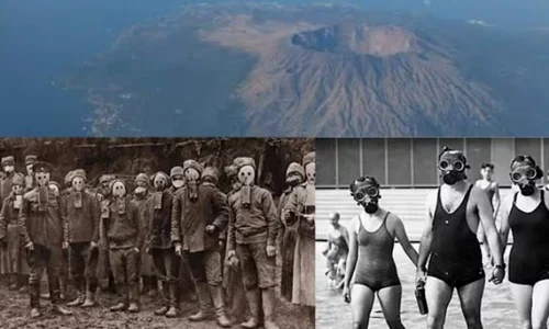 miyake jima captura video jpg