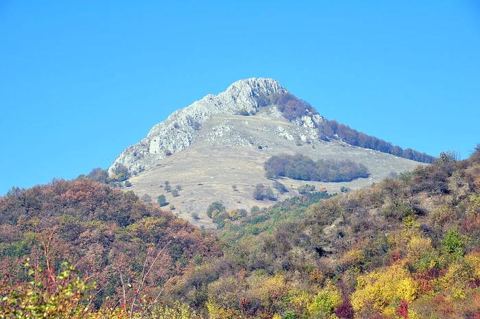 Piatra Craivii. Wikipedia