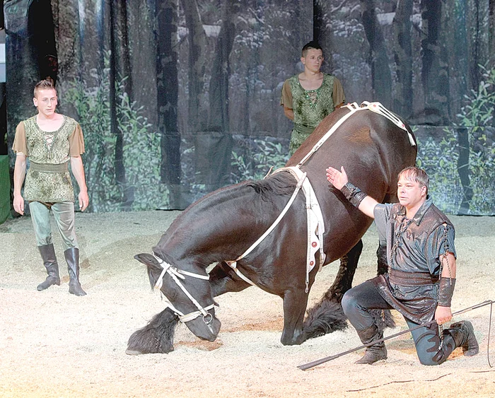 La final de spectacol, caii fac reverenţe în faţa publicului