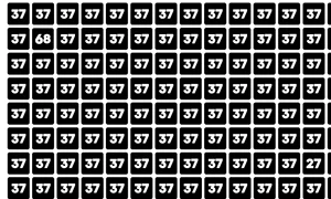 newodd puzzle 1761547541328 jpg