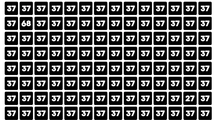 Iluzie optică / FOTO: FreeJobsAlerts