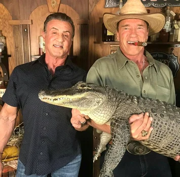 Sylvester Stallone si Arnold Schwarzenegger jpeg