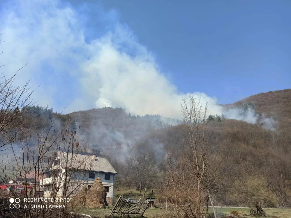 incendiu apuseni