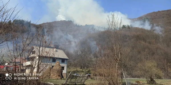 incendiu apuseni
