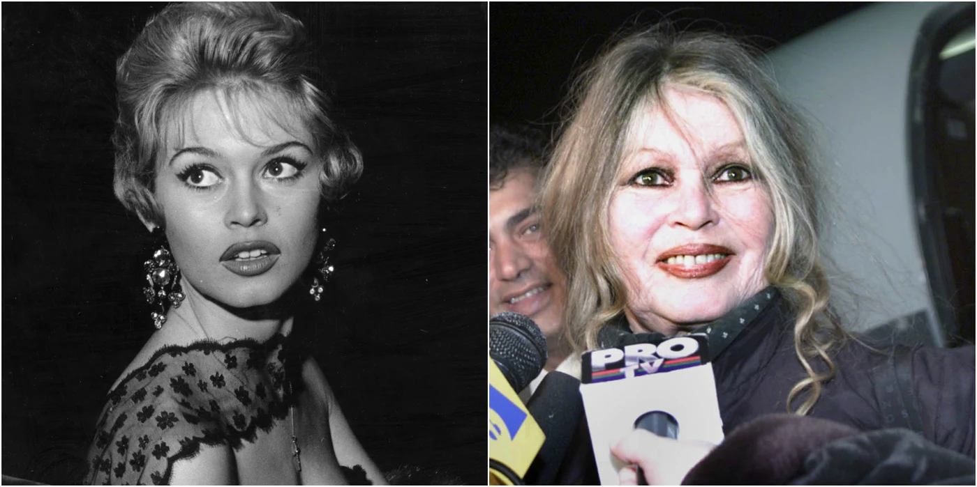 brigitte bardot jpeg