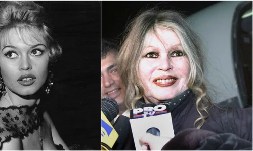 brigitte bardot jpeg