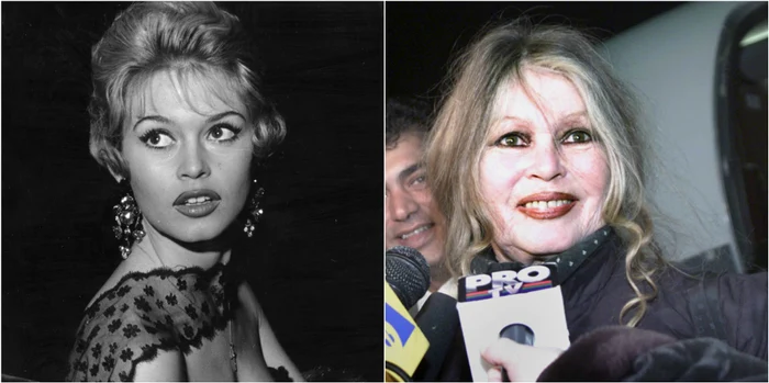 brigitte bardot jpeg