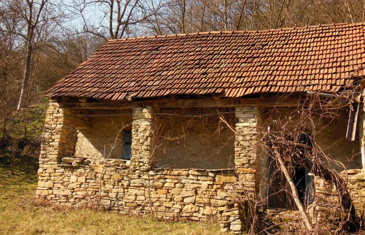 case piatra ceru bacainti
