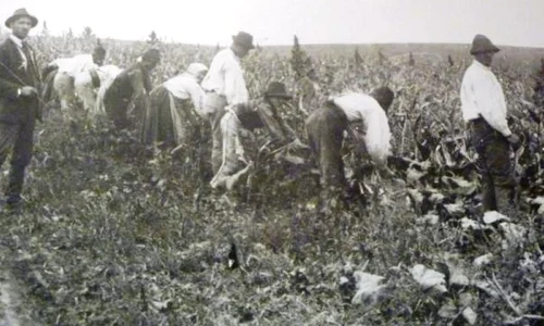 Ţăranul român din secolul al XIX lea, văzut de medicii vremii: „Nu face baie niciodată” jpeg