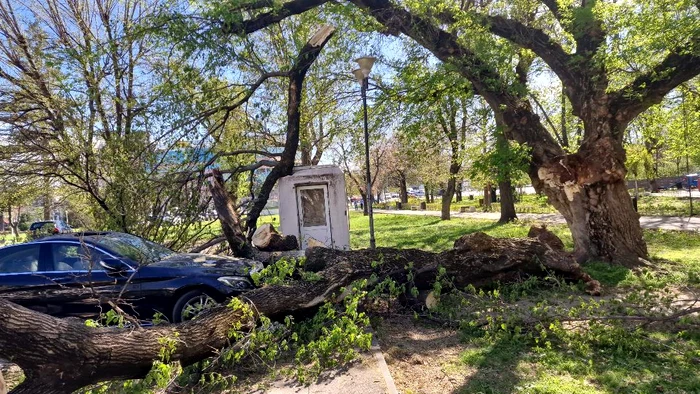 Parcul Operei din București afectat de furtună