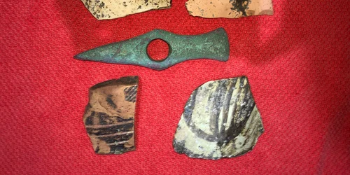 tezauririmia facebook jpg