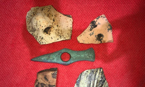 tezauririmia facebook jpg