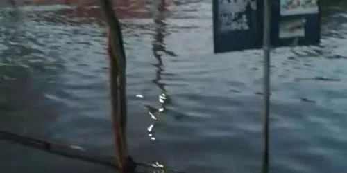 5aa8d09ddf52022f75898f2a jpg