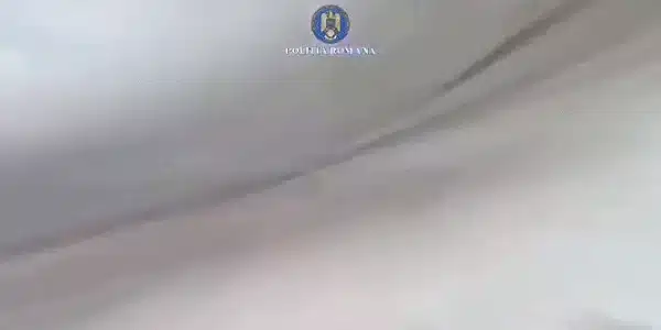 GIF Drifturi