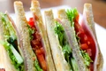 sandvisuri pixabay jpg