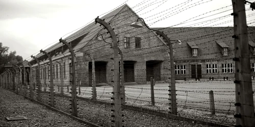 Supravietuitori Holocaust