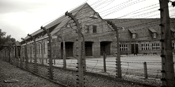 Supravietuitori Holocaust
