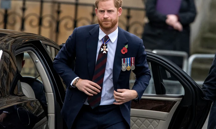 Prințul Harry cu mac în piept, Profimedia 0429416299 jpg