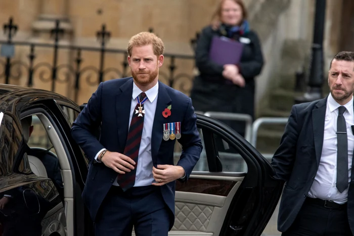 Prințul Harry cu mac în piept, Profimedia 0429416299 jpg