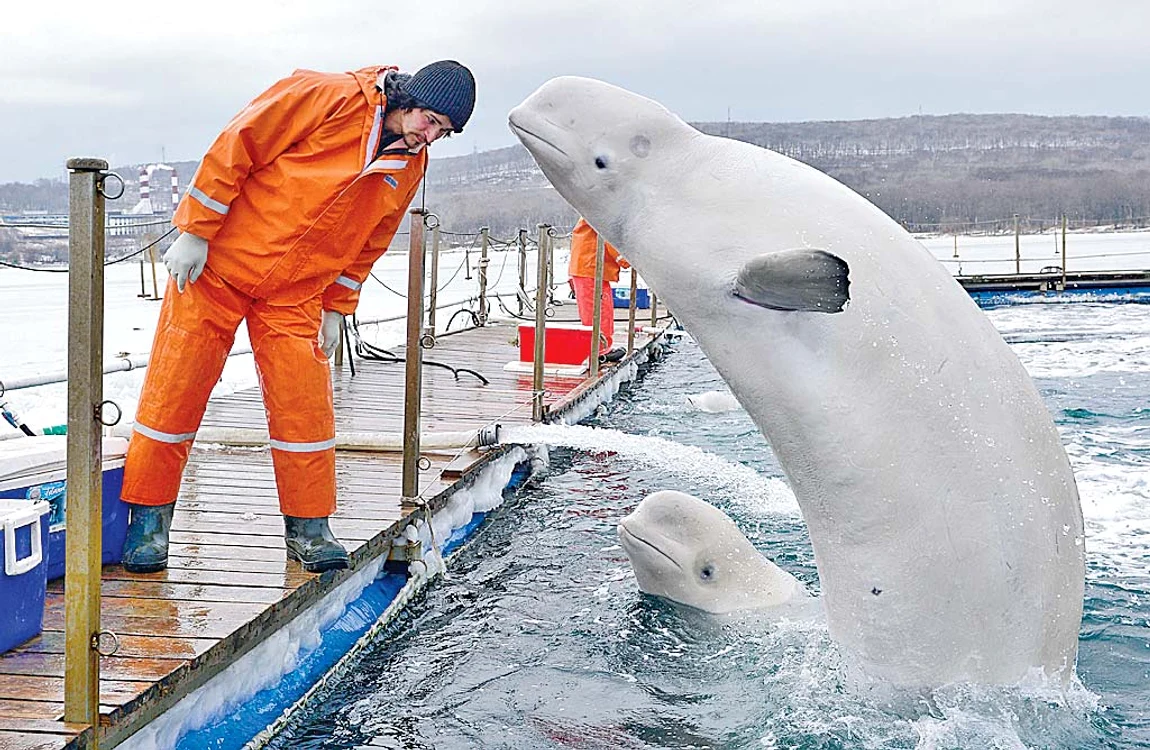 
    Nataşa, Maşa şi Saşa îşi arată recunoşinţa pentru că au fost salvateFoto: Photoland, Caters  