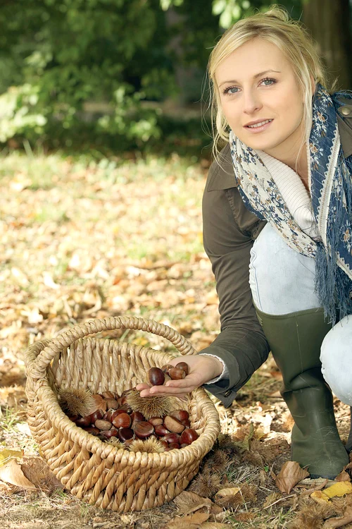 
    Foto: Shutterstock  