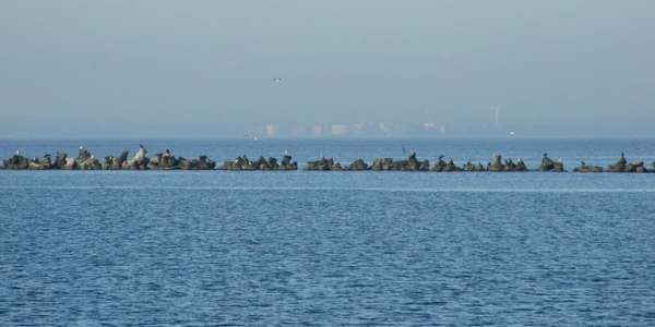 Marea Neagră