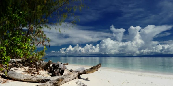 indonezia