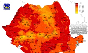 ttresim png