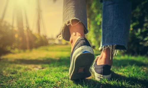 shutterstock 550884346 jpg