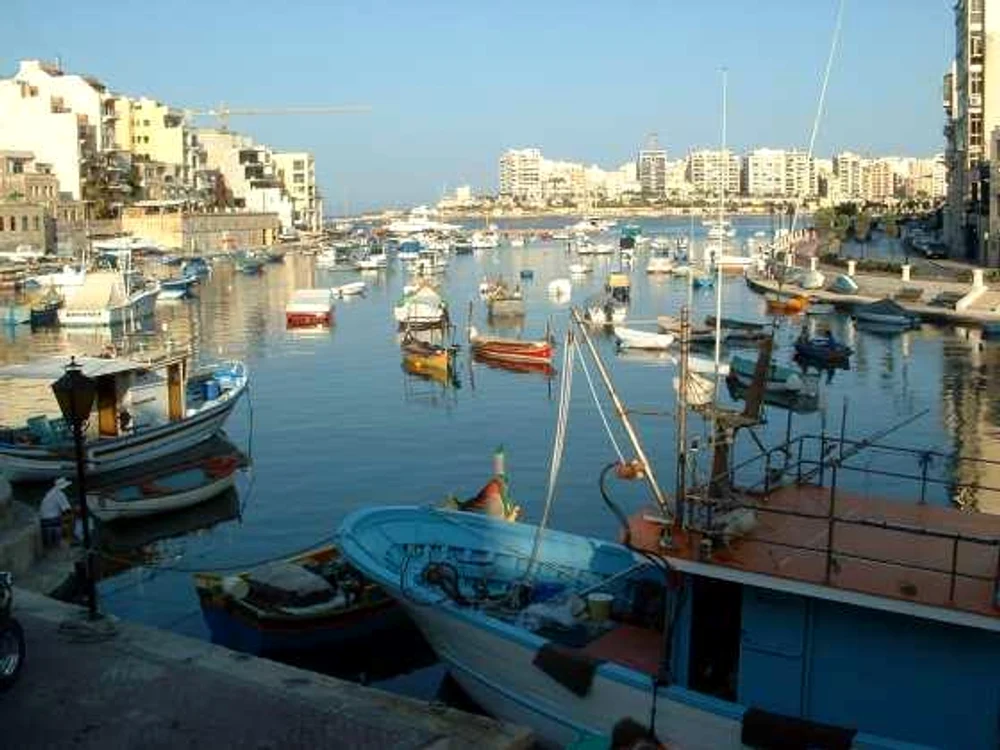 malta8 0 jpg jpeg