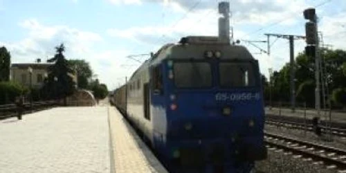 Buzău: Prins la furat