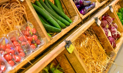 1 shutterstock 453378898 jpg jpeg