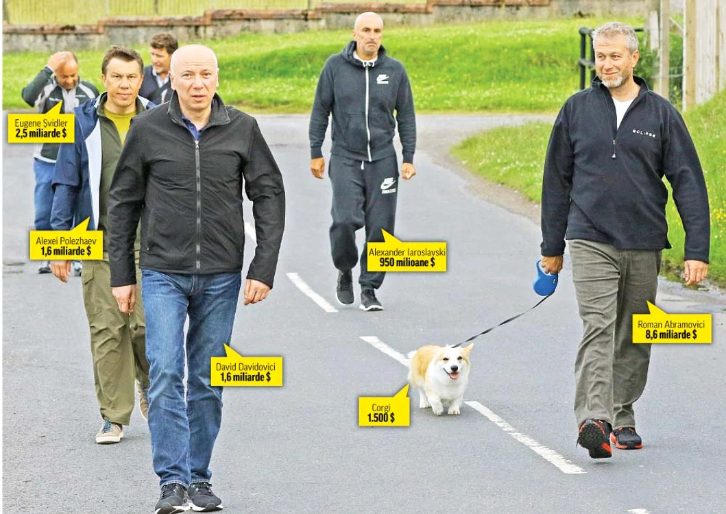 
    Dulăul lui Roman Abramovici  şi-a scos prietenii miliardari  să-l asiste când îşi face nevoile  