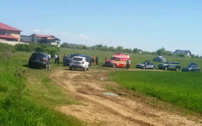 Autoritățile caută leul. Foto: Adevarul