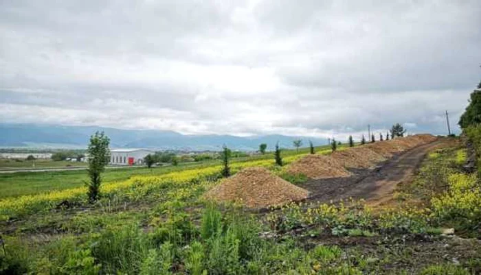 Zona unde ar urma să se construiască cartierul rezidenţial. Foto: oradesibiu.ro