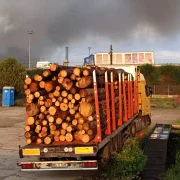 incendiu fabrica de prelucrarea lemnului Alba foto Ziarul unirea webp