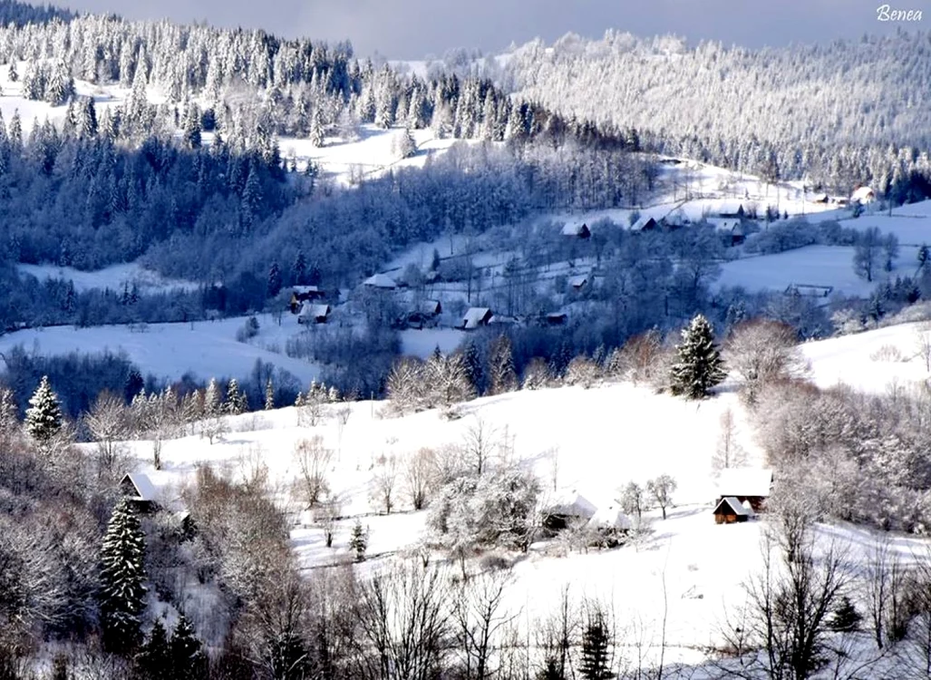 iarna apuseni foto ioan benea jurca