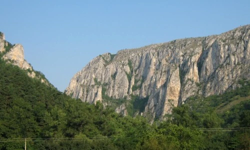 1 46437 original jpg jpeg