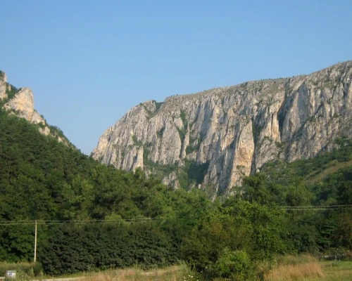 1 46437 original jpg jpeg