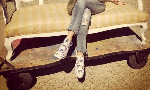 Mihaela Radulescu replica jpeg