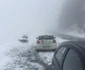 Iarnă