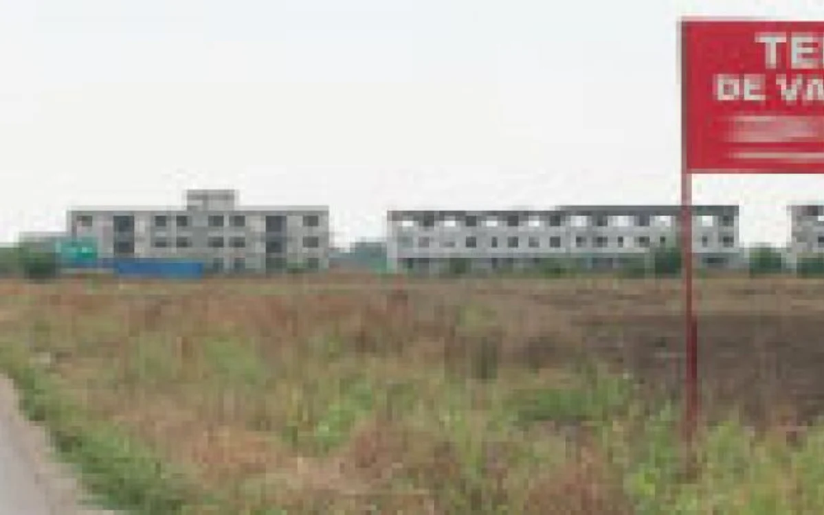 Arhiva Adevarul