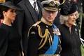 meghan markle charles png