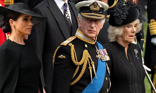 meghan markle charles png