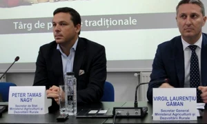 gaman si nagy 640x330 jpeg